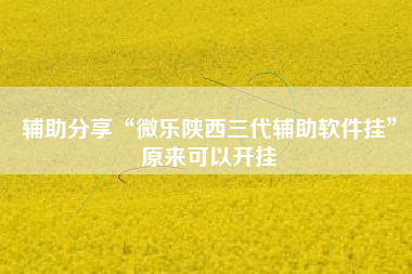 辅助分享“微乐陕西三代辅助软件挂”原来可以开挂