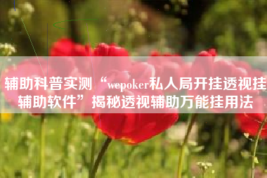 辅助科普实测“wepoker私人局开挂透视挂辅助软件”揭秘透视辅助万能挂用法