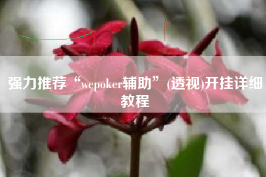 强力推荐“wepoker辅助”(透视)开挂详细教程