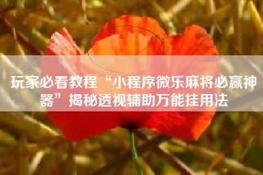 玩家必看教程“小程序微乐麻将必赢神器”揭秘透视辅助万能挂用法