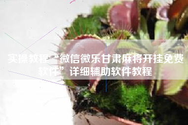 实操教程“微信微乐甘肃麻将开挂免费软件	”详细辅助软件教程