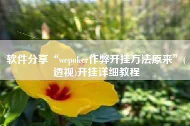软件分享“wepoker作弊开挂方法原来	”(透视)开挂详细教程