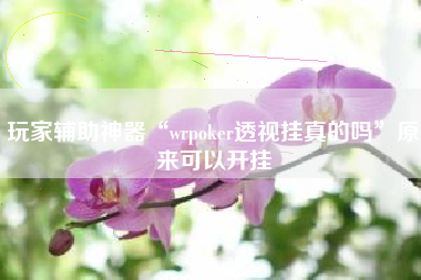 玩家辅助神器“wrpoker透视挂真的吗”原来可以开挂