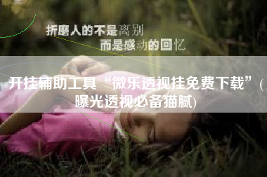 开挂辅助工具“微乐透视挂免费下载”(曝光透视必备猫腻)