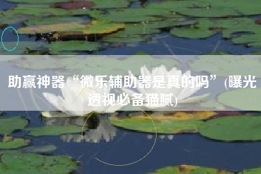 助赢神器“微乐辅助器是真的吗	”(曝光透视必备猫腻)