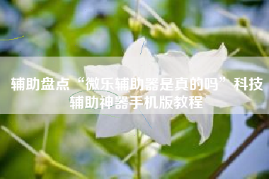 辅助盘点“微乐辅助器是真的吗	”科技辅助神器手机版教程