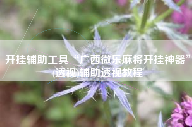 开挂辅助工具“广西微乐麻将开挂神器	”(透视)辅助透视教程