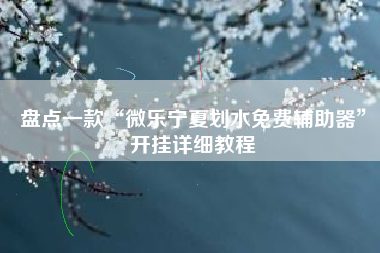 盘点一款“微乐宁夏划水免费辅助器”开挂详细教程