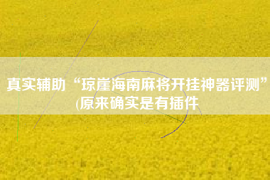 真实辅助“琼崖海南麻将开挂神器评测	”(原来确实是有插件