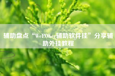 辅助盘点“WePOKer辅助软件挂	”分享辅助外挂教程