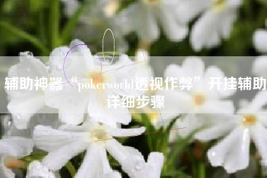 辅助神器“pokerworld透视作弊	”开挂辅助详细步骤