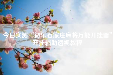 今日实测“微乐石家庄麻将万能开挂器	”开挂辅助透视教程