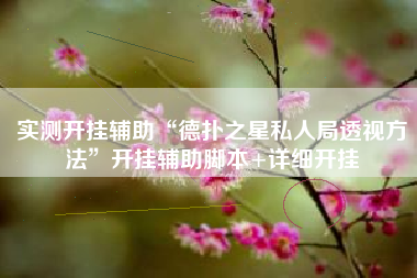 实测开挂辅助“德扑之星私人局透视方法	”开挂辅助脚本+详细开挂