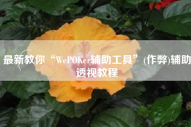最新教你“WePOKer辅助工具	”(作弊)辅助透视教程