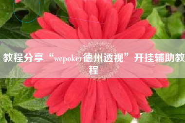 教程分享“wepoker德州透视	”开挂辅助教程