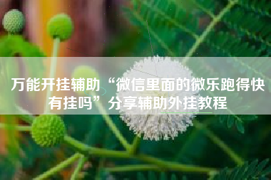 万能开挂辅助“微信里面的微乐跑得快有挂吗”分享辅助外挂教程