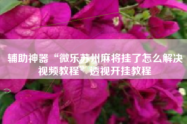 辅助神器“微乐苏州麻将挂了怎么解决视频教程”透视开挂教程