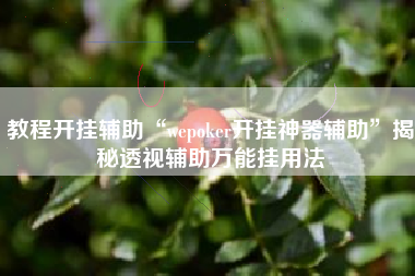 教程开挂辅助“wepoker开挂神器辅助	”揭秘透视辅助万能挂用法