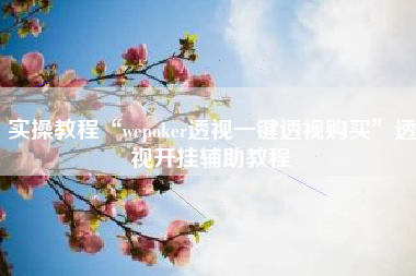 实操教程“wepoker透视一键透视购买”透视开挂辅助教程