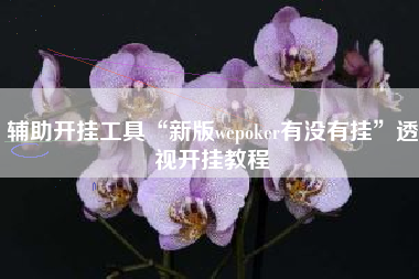 辅助开挂工具“新版wepoker有没有挂”透视开挂教程