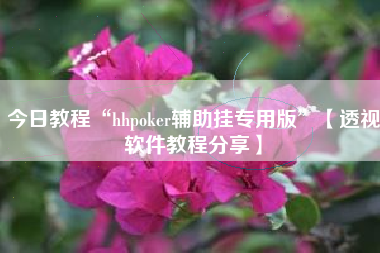 今日教程“hhpoker辅助挂专用版”【透视软件教程分享】