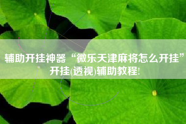 辅助开挂神器“微乐天津麻将怎么开挂”开挂(透视)辅助教程!