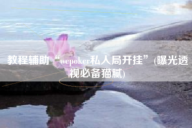 教程辅助“wepoker私人局开挂”(曝光透视必备猫腻)
