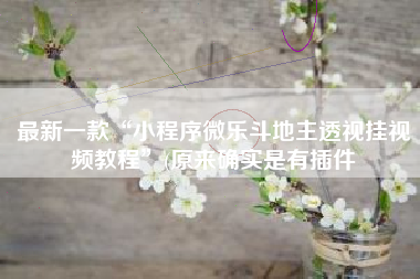 最新一款“小程序微乐斗地主透视挂视频教程”(原来确实是有插件