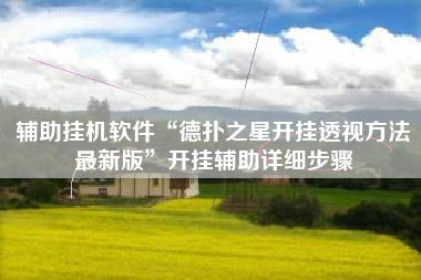 辅助挂机软件“德扑之星开挂透视方法最新版”开挂辅助详细步骤