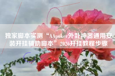 独家脚本实测“AApoker外卦神器通用安装开挂辅助脚本	”2026开挂教程步骤