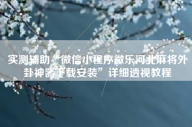 实测辅助“微信小程序微乐河北麻将外卦神器下载安装”详细透视教程