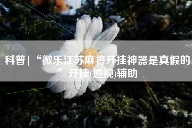 科普|“微乐江苏麻将开挂神器是真假的”开挂(透视)辅助