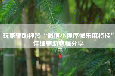 玩家辅助神器“微信小程序微乐麻将挂”详细辅助教程分享