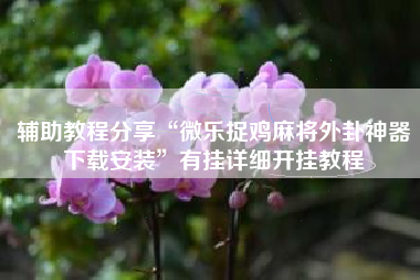 辅助教程分享“微乐捉鸡麻将外卦神器下载安装	”有挂详细开挂教程