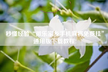 秒懂经验“微乐家乡手机麻将免费挂”通用版下载教程!