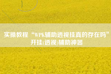 实操教程“WPK辅助透视挂真的存在吗”开挂(透视)辅助神器