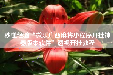 秒懂经验“微乐广西麻将小程序开挂神器版本软件”透视开挂教程