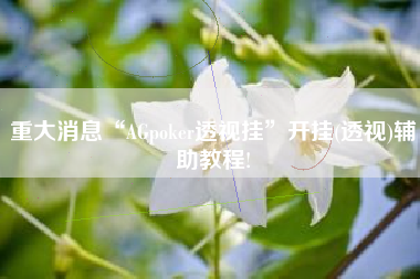 重大消息“AGpoker透视挂”开挂(透视)辅助教程!