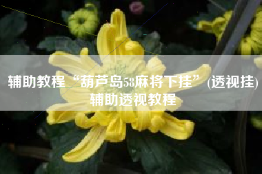 辅助教程“葫芦岛58麻将下挂	”(透视挂)辅助透视教程