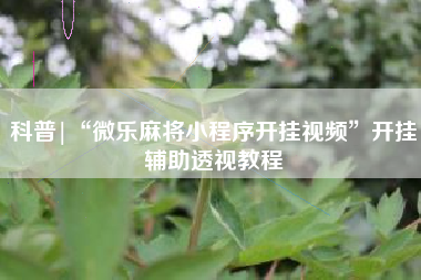 科普|“微乐麻将小程序开挂视频”开挂辅助透视教程