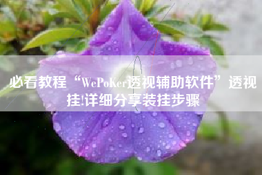 必看教程“WePoKer透视辅助软件	”透视挂!详细分享装挂步骤