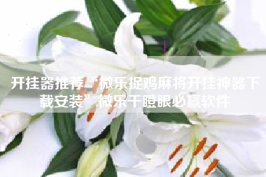 开挂器推荐“微乐捉鸡麻将开挂神器下载安装”微乐干瞪眼必赢软件