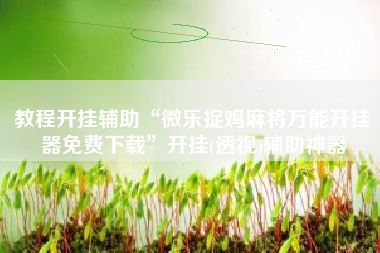 教程开挂辅助“微乐捉鸡麻将万能开挂器免费下载	”开挂(透视)辅助神器