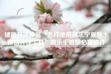 辅助开挂神器“怎样使用微乐宁夏划水微信开挂工具	”微乐干瞪眼必赢软件