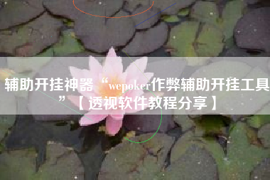 辅助开挂神器“wepoker作弊辅助开挂工具”【透视软件教程分享】