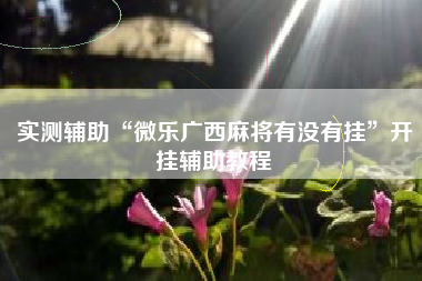 实测辅助“微乐广西麻将有没有挂”开挂辅助教程