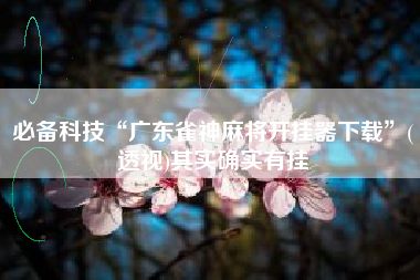 必备科技“广东雀神麻将开挂器下载”(透视)其实确实有挂