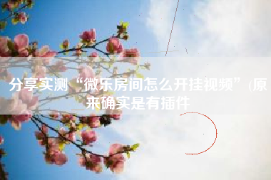 分享实测“微乐房间怎么开挂视频”(原来确实是有插件