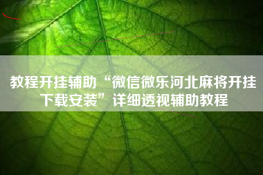 教程开挂辅助“微信微乐河北麻将开挂下载安装”详细透视辅助教程