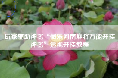 玩家辅助神器“微乐河南麻将万能开挂神器”透视开挂教程